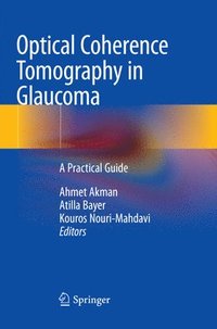 bokomslag Optical Coherence Tomography in Glaucoma