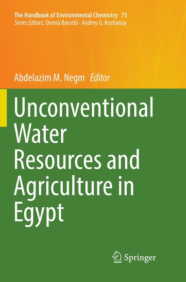 bokomslag Unconventional Water Resources and Agriculture in Egypt