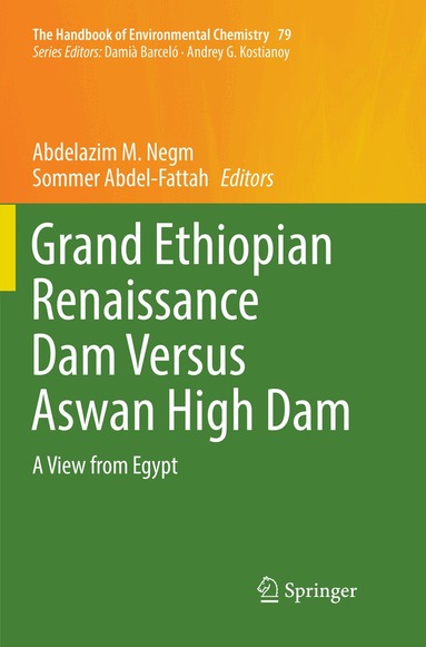 Abdelazim M. Negm, Sommer Abdel-Fattah - Grand Ethiopian Renaissance Dam Versus Aswan High Dam, Häftad