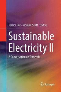 bokomslag Sustainable Electricity II
