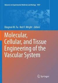 bokomslag Molecular, Cellular, and Tissue Engineering of the Vascular System
