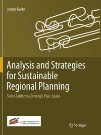 bokomslag Analysis and Strategies for Sustainable Regional Planning