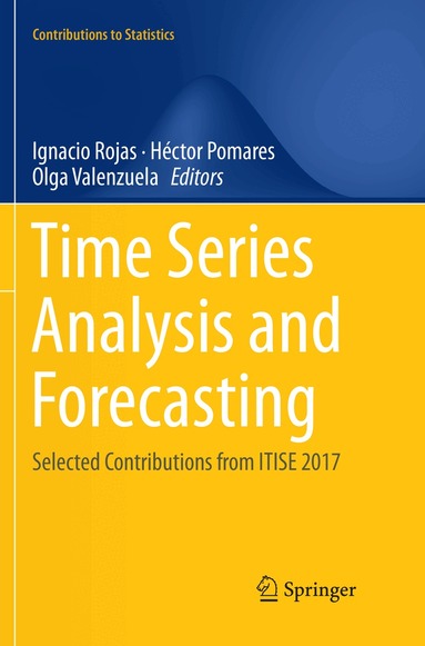 Ignacio Rojas, Héctor Pomares, Olga Valenzuela - Time Series Analysis and Forecasting, Häftad