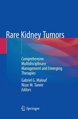 bokomslag Rare Kidney Tumors