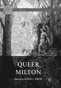 bokomslag Queer Milton