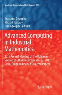 bokomslag Advanced Computing in Industrial Mathematics