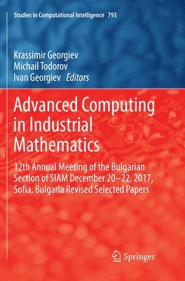 bokomslag Advanced Computing in Industrial Mathematics