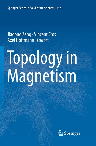 Jiadong Zang, Vincent Cros, Axel Hoffmann - Topology in Magnetism, Häftad