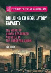 bokomslag Building EU Regulatory Capacity