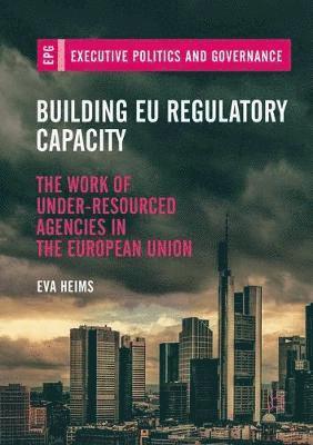 bokomslag Building EU Regulatory Capacity