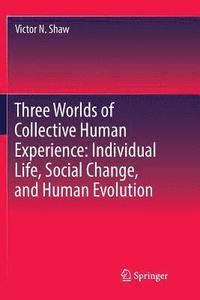 bokomslag Three Worlds of Collective Human Experience: Individual Life, Social Change, and Human Evolution