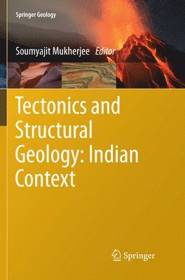 bokomslag Tectonics and Structural Geology: Indian Context