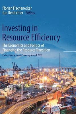 bokomslag Investing in Resource Efficiency