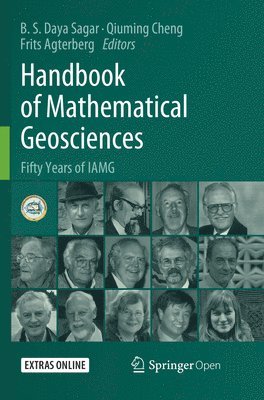 bokomslag Handbook of Mathematical Geosciences