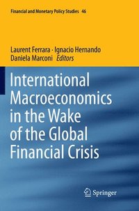 bokomslag International Macroeconomics in the Wake of the Global Financial Crisis