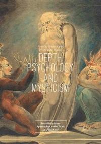 bokomslag Depth Psychology and Mysticism