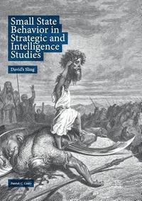 bokomslag Small State Behavior in Strategic and Intelligence Studies
