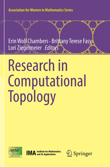 Erin Wolf Chambers, Brittany Terese Fasy, Lori Ziegelmeier - Research in Computational Topology, Häftad