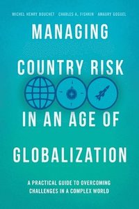 bokomslag Managing Country Risk in an Age of Globalization
