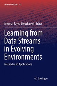 bokomslag Learning from Data Streams in Evolving Environments