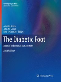 bokomslag The Diabetic Foot