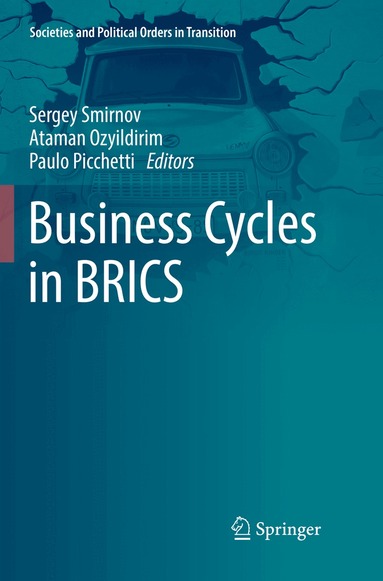 Sergey Smirnov, Ataman Ozyildirim, Paulo Picchetti - Business Cycles in BRICS, Häftad