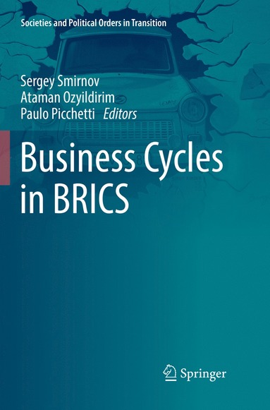 bokomslag Business Cycles in BRICS