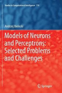 bokomslag Models of Neurons and Perceptrons: Selected Problems and Challenges