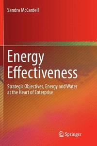 bokomslag Energy Effectiveness