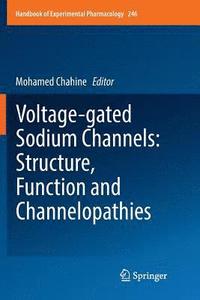bokomslag Voltage-gated Sodium Channels: Structure, Function and Channelopathies