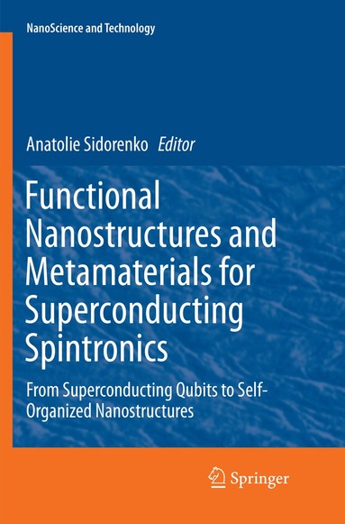 Anatolie Sidorenko - Functional Nanostructures and Metamaterials for Superconducting Spintronics, Häftad