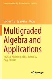 bokomslag Multigraded Algebra and Applications