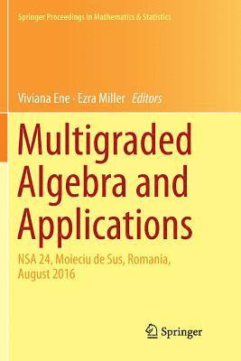 bokomslag Multigraded Algebra and Applications