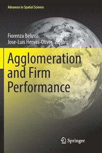 bokomslag Agglomeration and Firm Performance