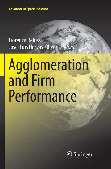 Fiorenza Belussi, Jose-Luis Hervas-Oliver - Agglomeration and Firm Performance, Häftad