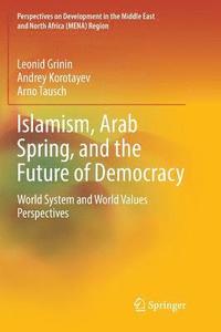 bokomslag Islamism, Arab Spring, and the Future of Democracy