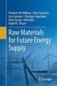 bokomslag Raw Materials for Future Energy Supply