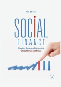 bokomslag Social Finance