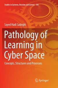 bokomslag Pathology of Learning in Cyber Space