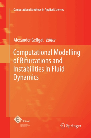 Alexander Gelfgat - Computational Modelling of Bifurcations and Instabilities in Fluid Dynamics, Häftad