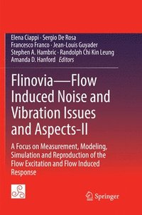 bokomslag FlinoviaFlow Induced Noise and Vibration Issues and Aspects-II