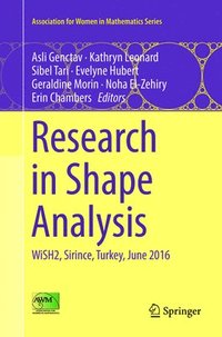 bokomslag Research in Shape Analysis