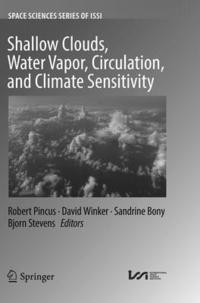 bokomslag Shallow Clouds, Water Vapor, Circulation, and Climate Sensitivity