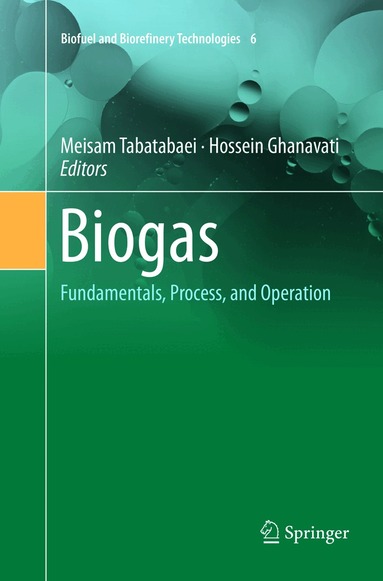 Meisam Tabatabaei, Hossein Ghanavati - Biogas, Häftad