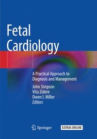 bokomslag Fetal Cardiology