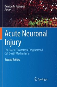 bokomslag Acute Neuronal Injury