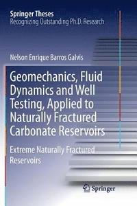 bokomslag Geomechanics, Fluid Dynamics and Well Testing, Applied to Naturally Fractured Carbonate Reservoirs