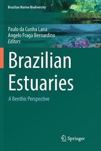 bokomslag Brazilian Estuaries
