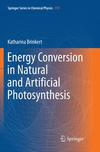 bokomslag Energy Conversion in Natural and Artificial Photosynthesis