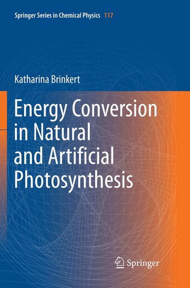 Katharina Brinkert - Energy Conversion in Natural and Artificial Photosynthesis, Häftad